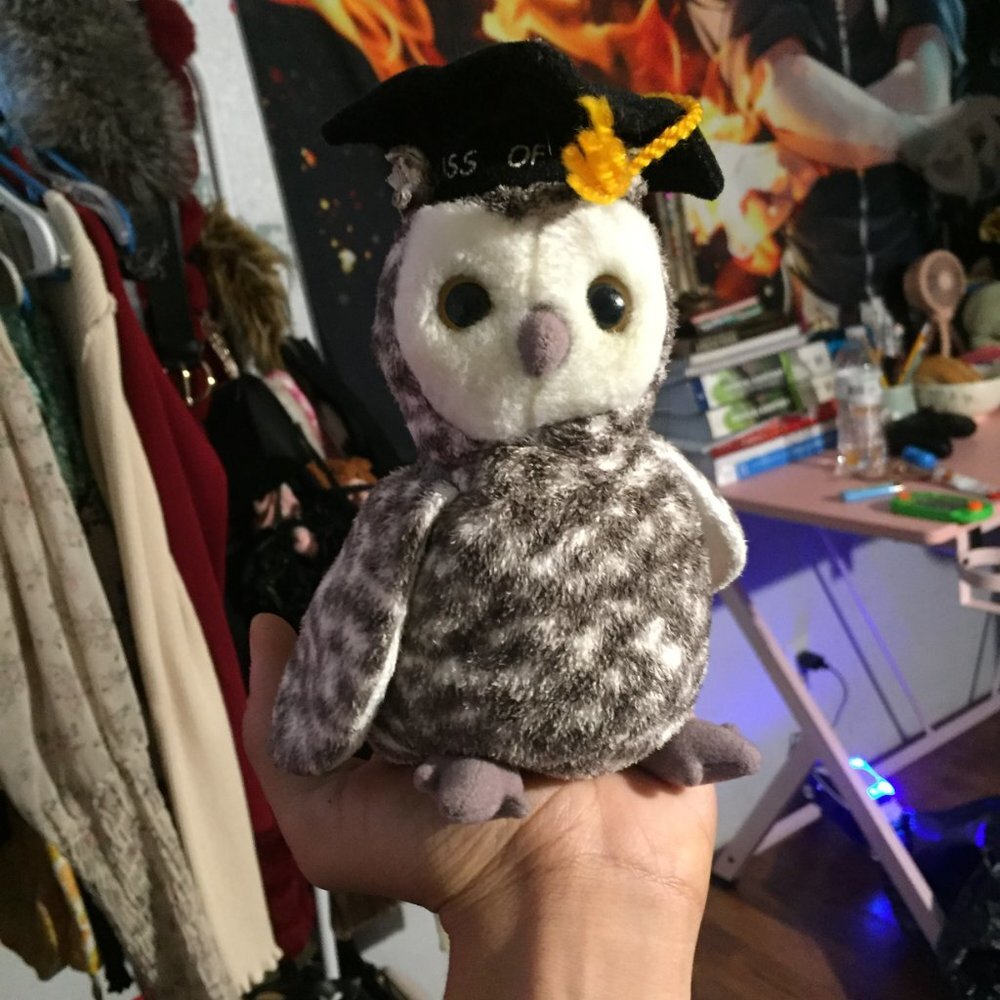 Graduating Owl Plush - Picture 3 of 14